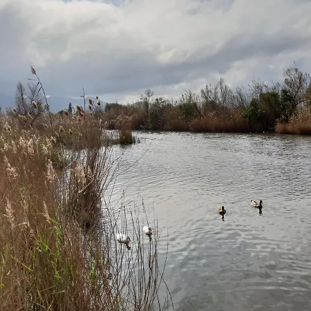 Mar Y Sol, Apartment