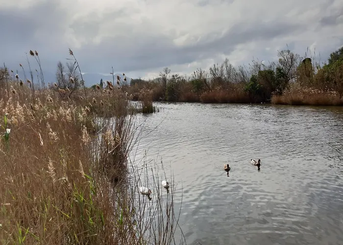 Mar Y Sol, Apartamento